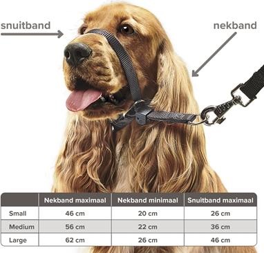 Produktbild beaphar Zwart (M, Hund, Hundesport)