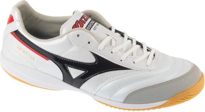 Actual product image Mizuno Morelia Sala Pro In (46)