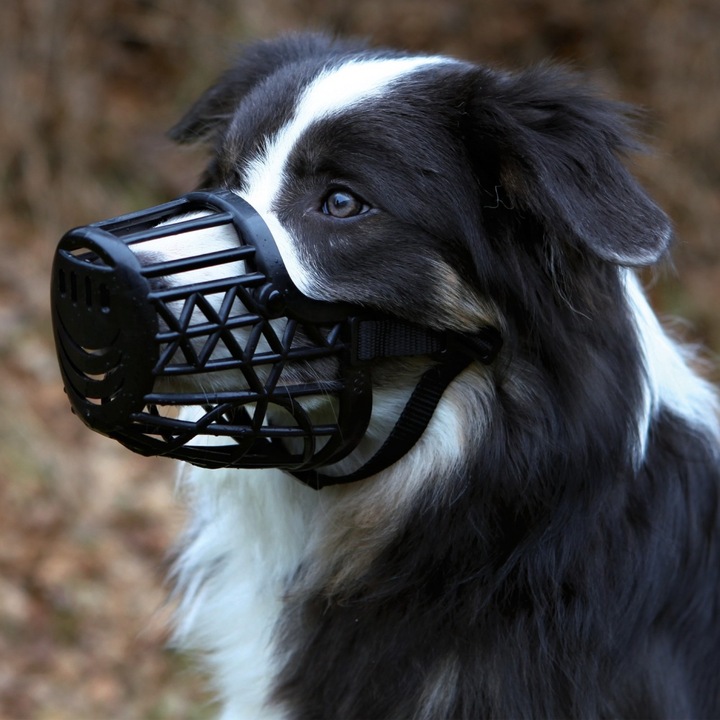 Actual product image Trixie Muzzle (S, Dog, Walks)