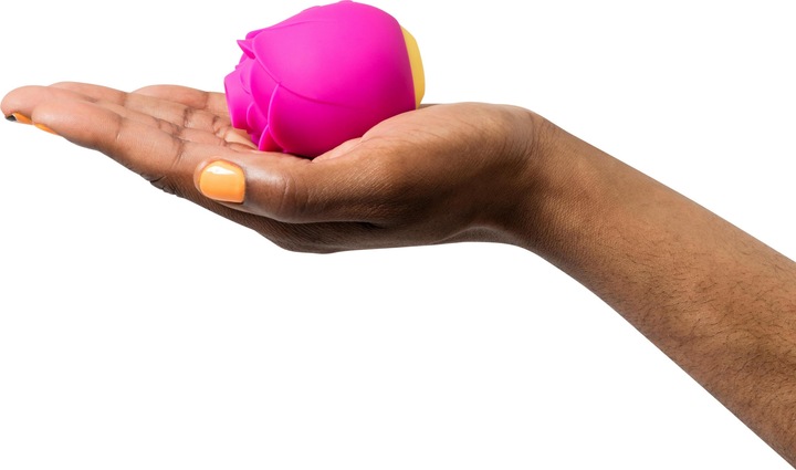 Produktbild Romp Rose