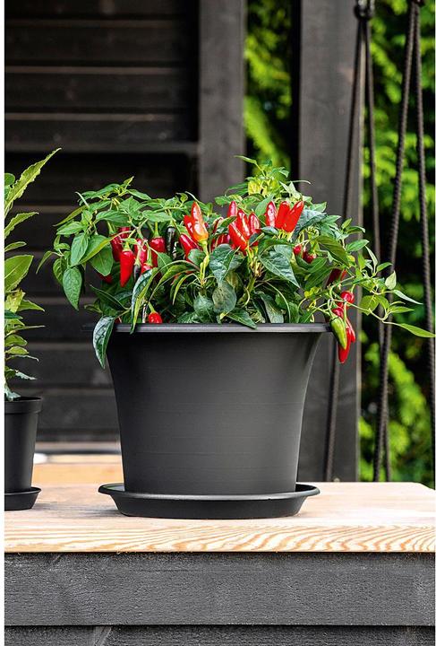 Produktbild Orthex Pflanztopf 'Botanica' (60 cm)