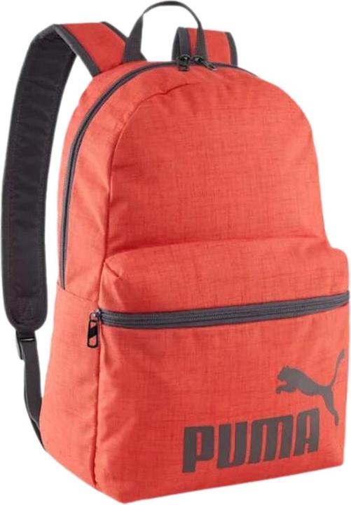 Actual product image Puma Phase III 22L Backpack (22 l)