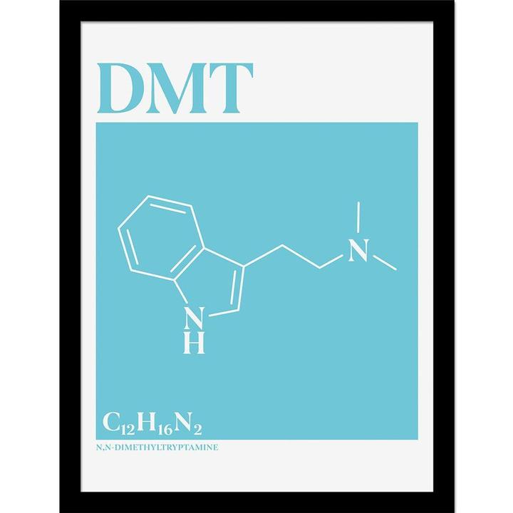 Drug Science Gerahmtes Poster DMT (45 x 35 cm)