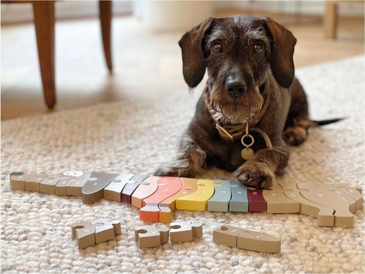 Image du produit small foot Puzzle de lettres chien