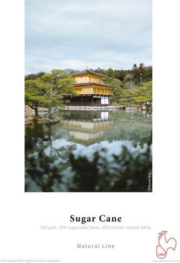 Immagine prodotto Hahnemühle Canna da zucchero A 3+ opaco 300 g, 25 fogli, bianco naturale (A3+)