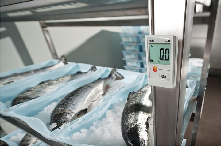 Actual product image Testo Temperature data logger 174T Se (Thermometers)