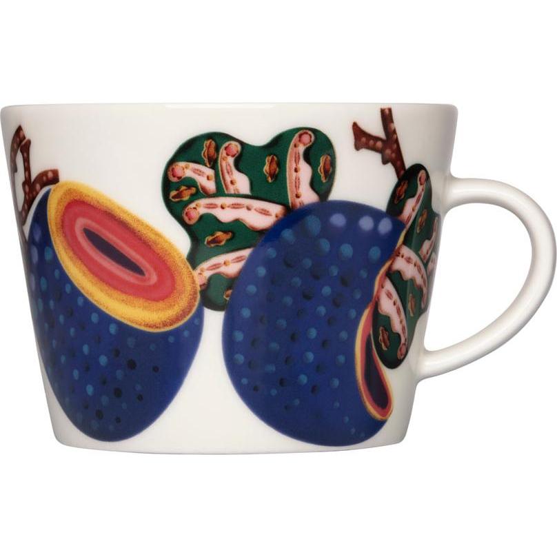 Iittala, Tasse, Taika Sato Cappuccinotasse (200 ml, 1 x)
