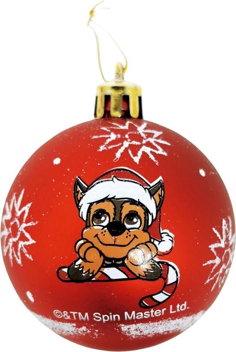 Actual product image Paw Patrol (10 x)