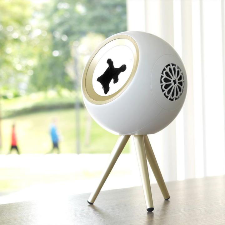 Actual product image Juegaconmigo Spirok Star weiss