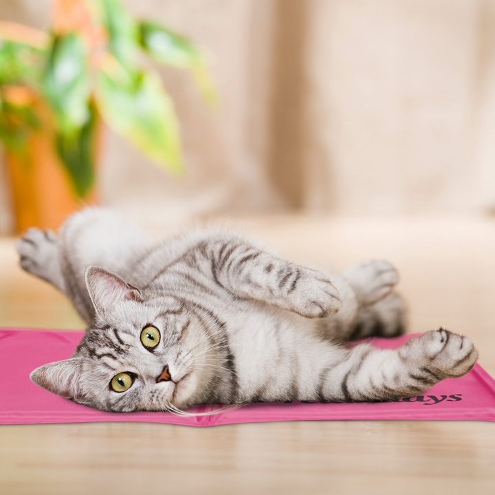 Actual product image Relaxdays Cooling mat dog (Dog)