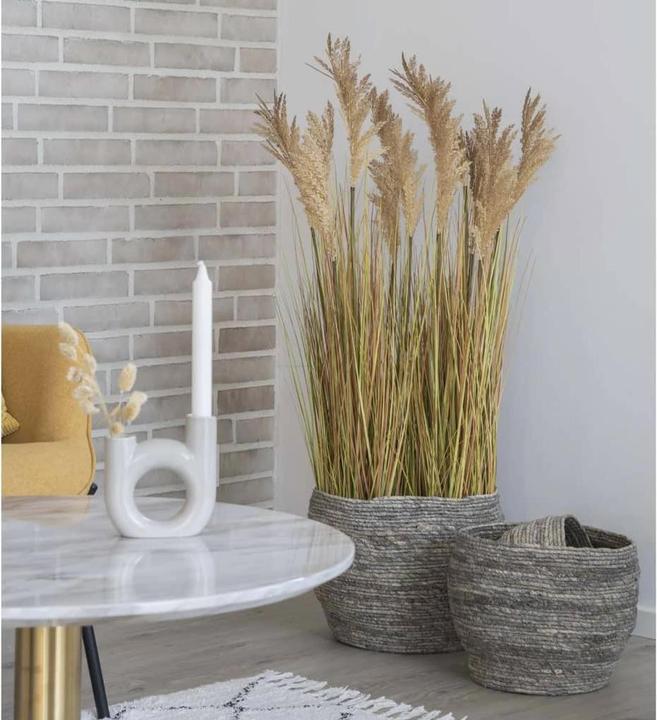 Actual product image House Nordic Sorghum grass (110 cm)