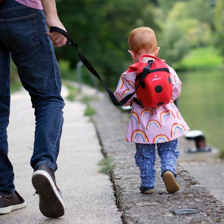 Actual product image Littlelife Toddler Backpack