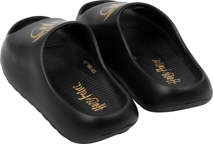 Actual product image Childrens/Kids Golden Snitch Moulded Footbed Sliders (34)