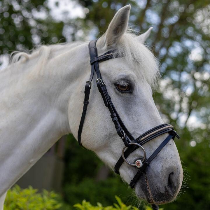 Image du produit Canter Mylord