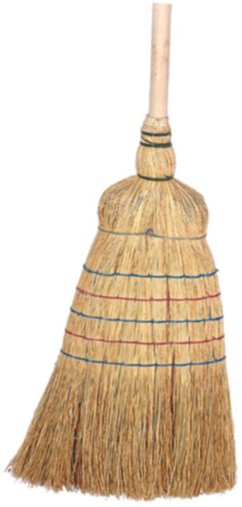 Actual product image Edi Clean Robustica (1 pcs.)