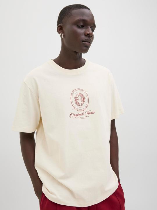 Actual product image Jack & Jones Jordia Graphic Front Tee Ss Crew Neck (S)