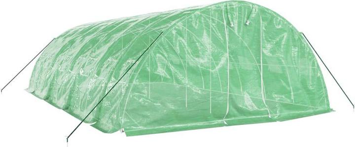 Actual product image vidaXL Gewächshaus