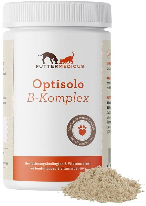 Actual product image Dog food supplement vitamin B complex powder, 100 g (Adult, 1 pcs., 200 g)