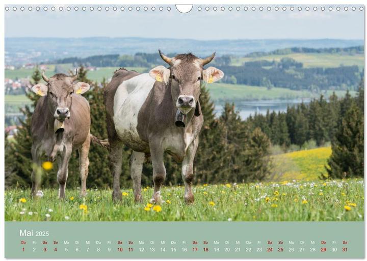 Produktbild Heimweh Allgu 2025 (Wandkalender 2025 DIN A3 quer), Monatskalender (A3)