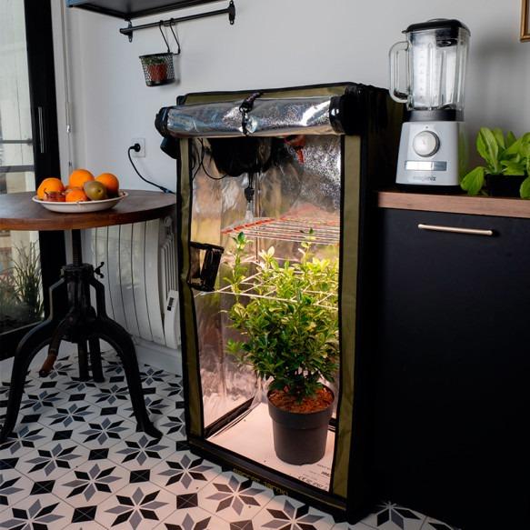 Image du produit Secret Jardin Pour Twenty 100
