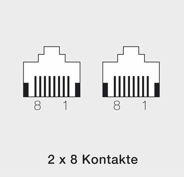 Produktbild Rutenbeck UAE 2x8 (8) Ap rw - Wanddose - RJ-45 X 2
