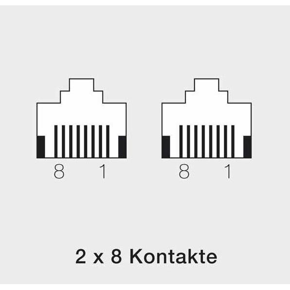 Thumbnail - Rutenbeck UAE 2x8 (8) Ap rw - Wanddose - RJ-45 X 2, Telefon Zubehör