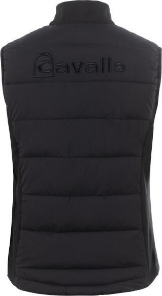 Image du produit Cavallo Hybrid (42)