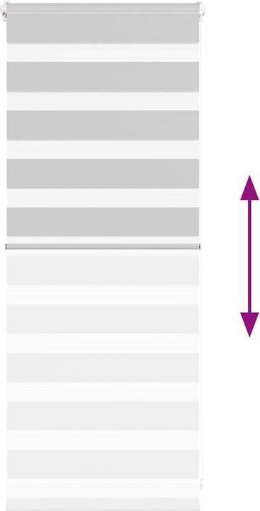 Produktbild vidaXL Zebra-Jalousie (65 x 100 cm)