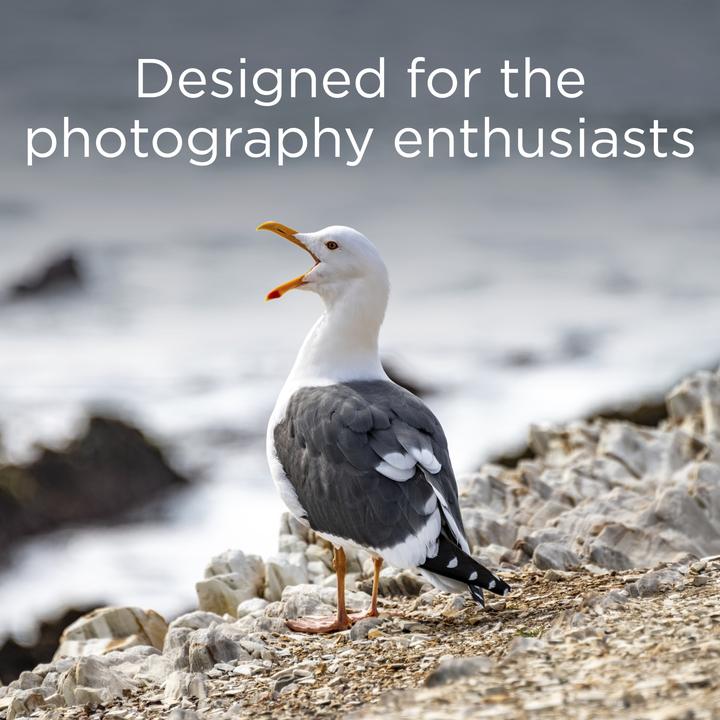 Immagine prodotto INCF8GV2 Scheda di memoria Compact Flash da 8 GB (8 GB, CFast)