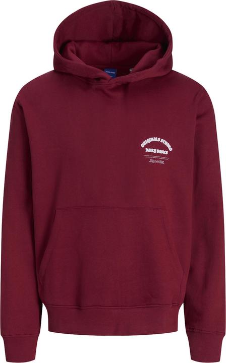 Actual product image Jack & Jones Junior Kapuzenpullover MEADOWS Hoodie (152)