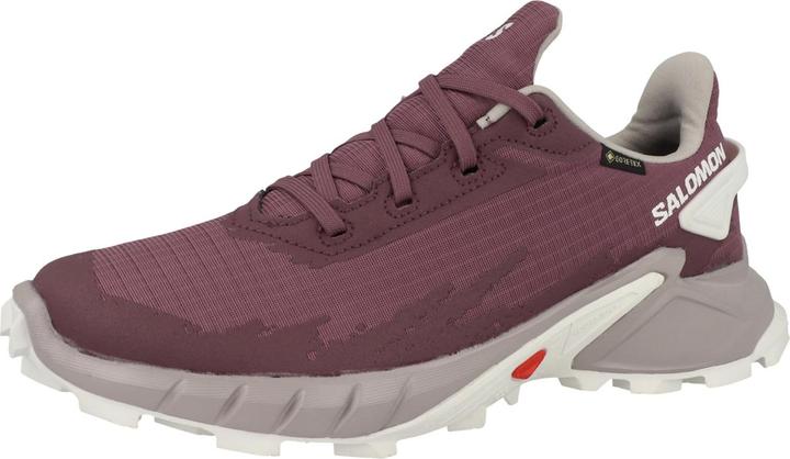 Produktbild Salomon Alphacross 4 GTX - 57155 (37 1/3)