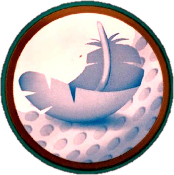 Actual product image Pampers Premium Care 4 Size Diapers-Panties, 38 Pants, 9-15kg (Size 4, Pack, 38 pcs.)