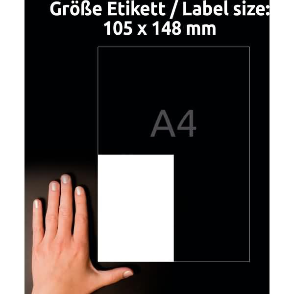 Produktbild Avery AVZ L8003-10 Antimikrobielle Etiketten 105x148mm weiss