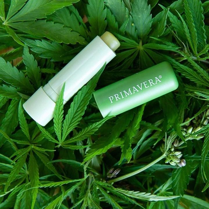 Produktbild Primavera Lip Balm Care & Repair (Lippengel)