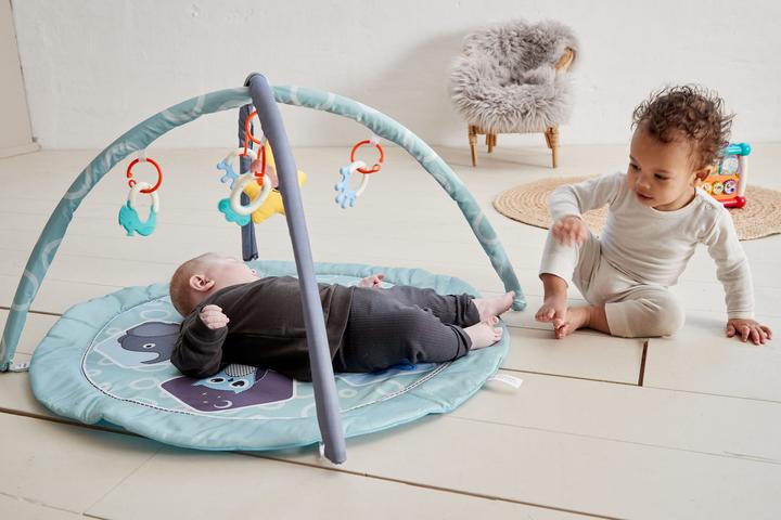 Actual product image Scandinavian Baby Products Zoo Activity Gym