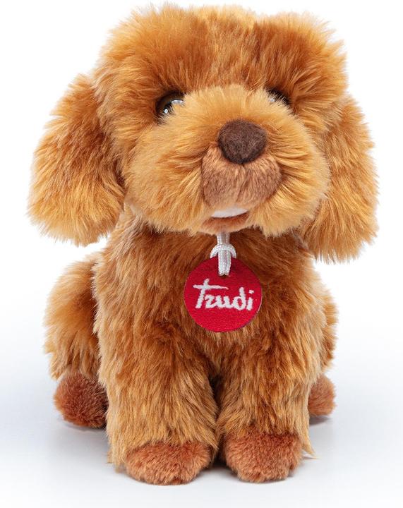 Actual product image Trudi Oliver Toy Poodle (Plush toy dog)