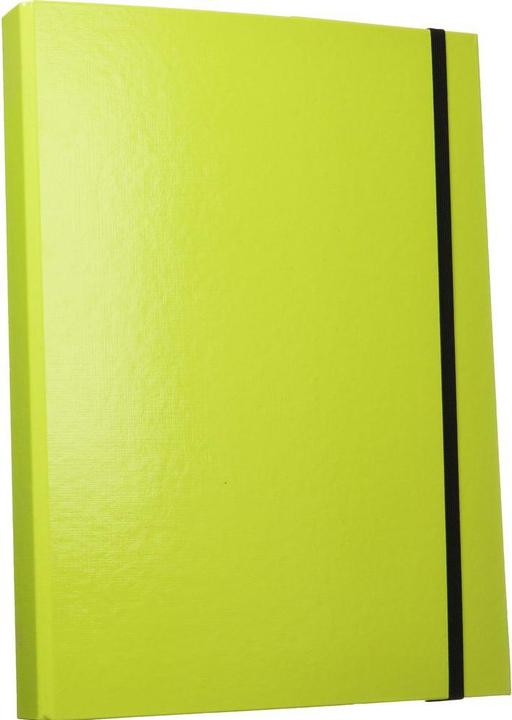 Produktbild Pagna Sammelbox Trend A4 (A4, 1x)