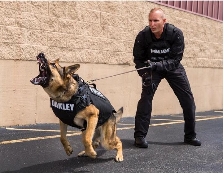 Produktbild First Tactical Defender Hose Schwarz 32/36 (W32/L36)