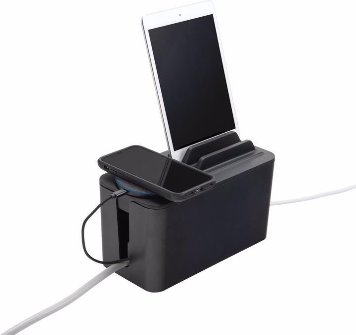 Actual product image BlueLounge Mini Station