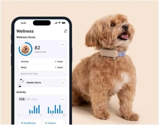 Immagine prodotto Tractive GPS Tracker Dog 6 (Cane)