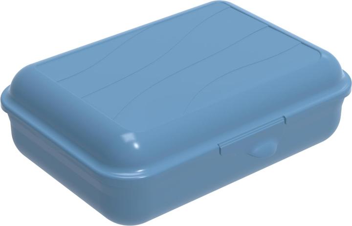 Rotho Storage box