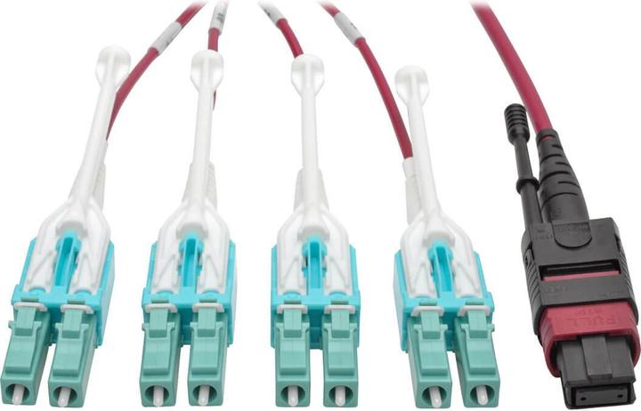 Actual product image Eaton 40G MTP/MPO to 4xLC Fan-Out OM4 Plenum-Rated Fibre Optic Cable 40GBASE-SR4 Magenta 2 (CAT8.2, 2 m)