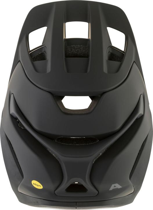 Image du produit ALPINA SPORTS Root Mips (51 - 55 cm)