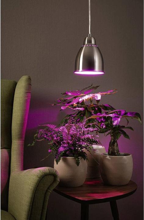 Immagine prodotto Paulmann Luci Hilla (E27)