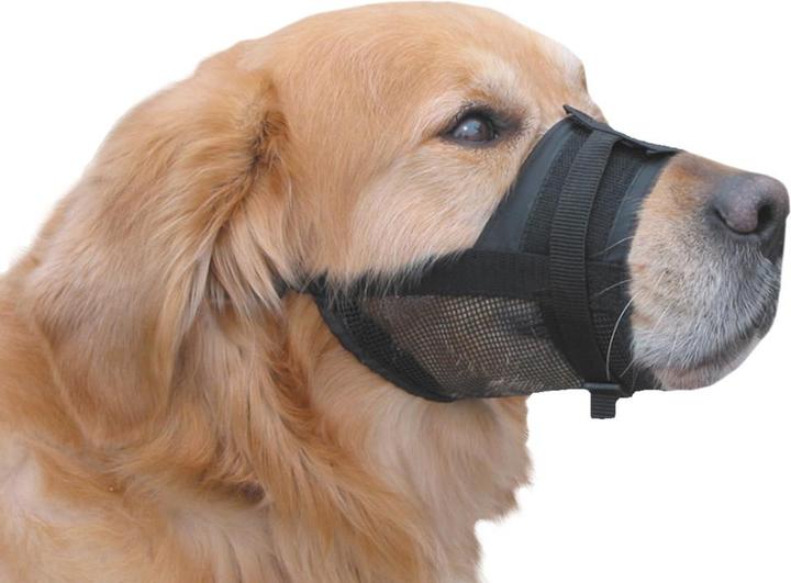Actual product image Nobby Muzzle (2, Dog, General)