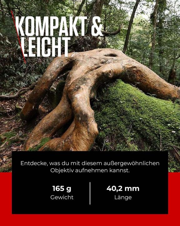 Immagine prodotto Canon RF 14-35mm f/4L IS USM - (EU) (Canon RF, Full frame)