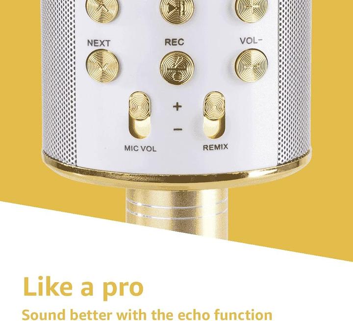 Produktbild Max Music Karaoke Mikrofone