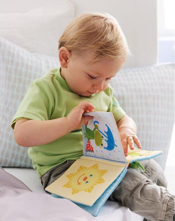 Actual product image Haba Magic Frog (German)