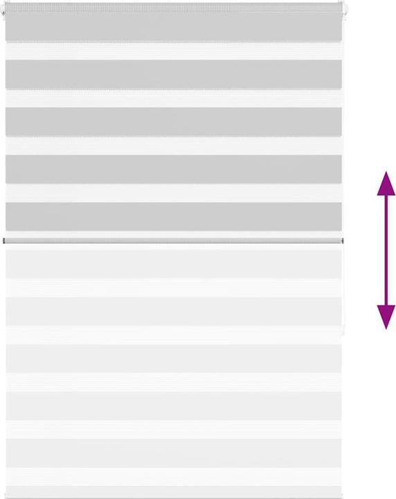 Produktbild vidaXL Zebra-Jalousie (95 x 150 cm)