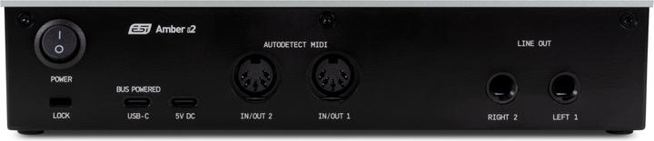 Productafbeelding ESI Audiotechnik Amber i2